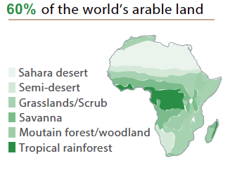 Arabale land in Africa