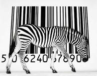 Sa Barcodes