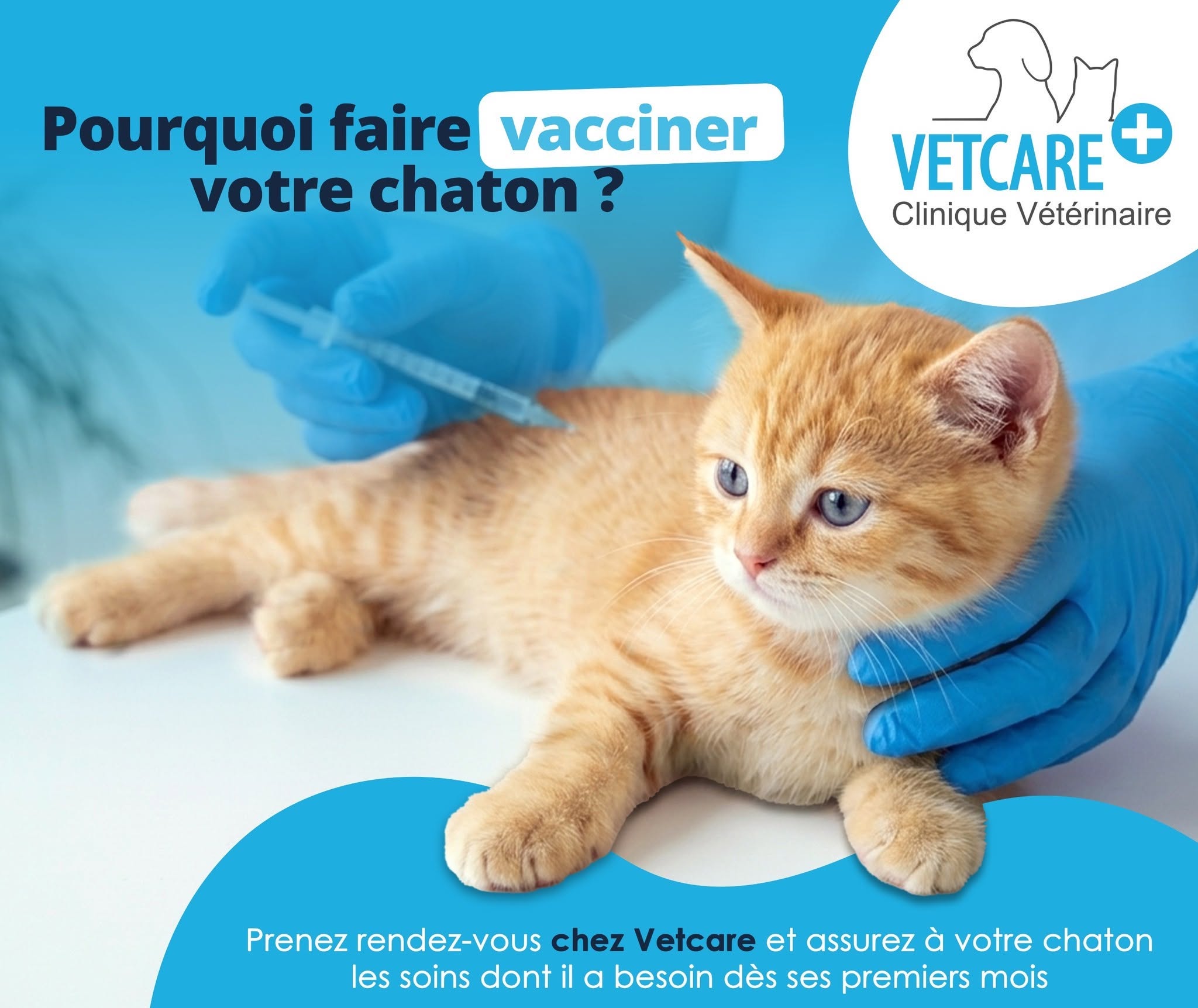 Vetcare Veterinary Clinic