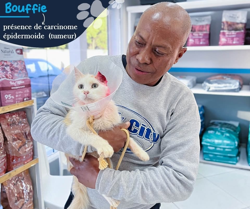 Vetcare Veterinary Clinic
