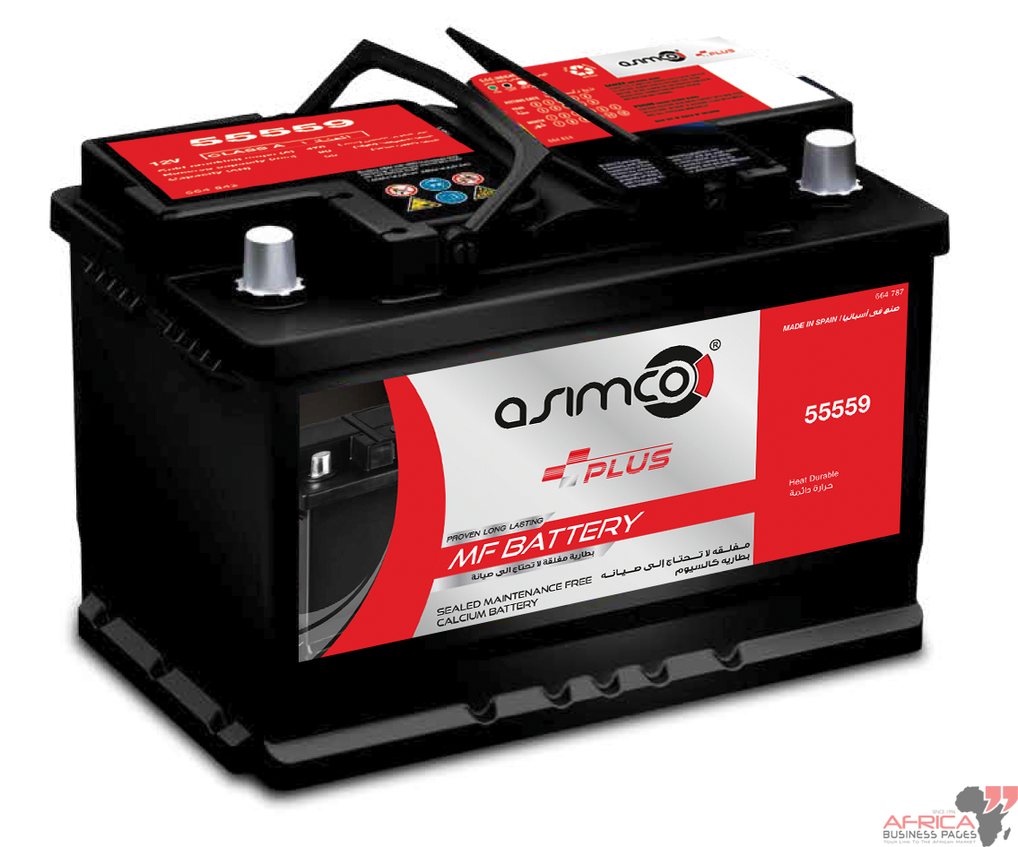 Asimco Plus Battery: SMF 5559 Calcium Battery