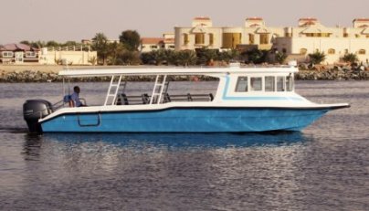 Jaji 31