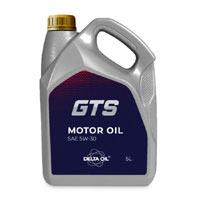 Delta Oil GTS SAE 5W30 Longlife