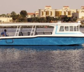 Jaji 31